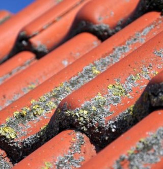 Démoussage et nettoyage de toiture à Clamart dans les Hauts-de-Seine dans le (92) et en Ile de France